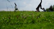 Dzieci ćwiczące jogę na trawie